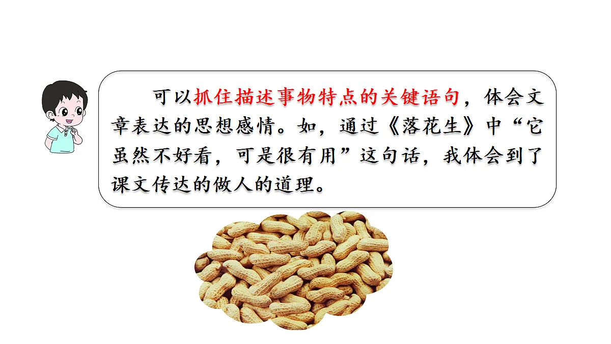 18565913第5页
