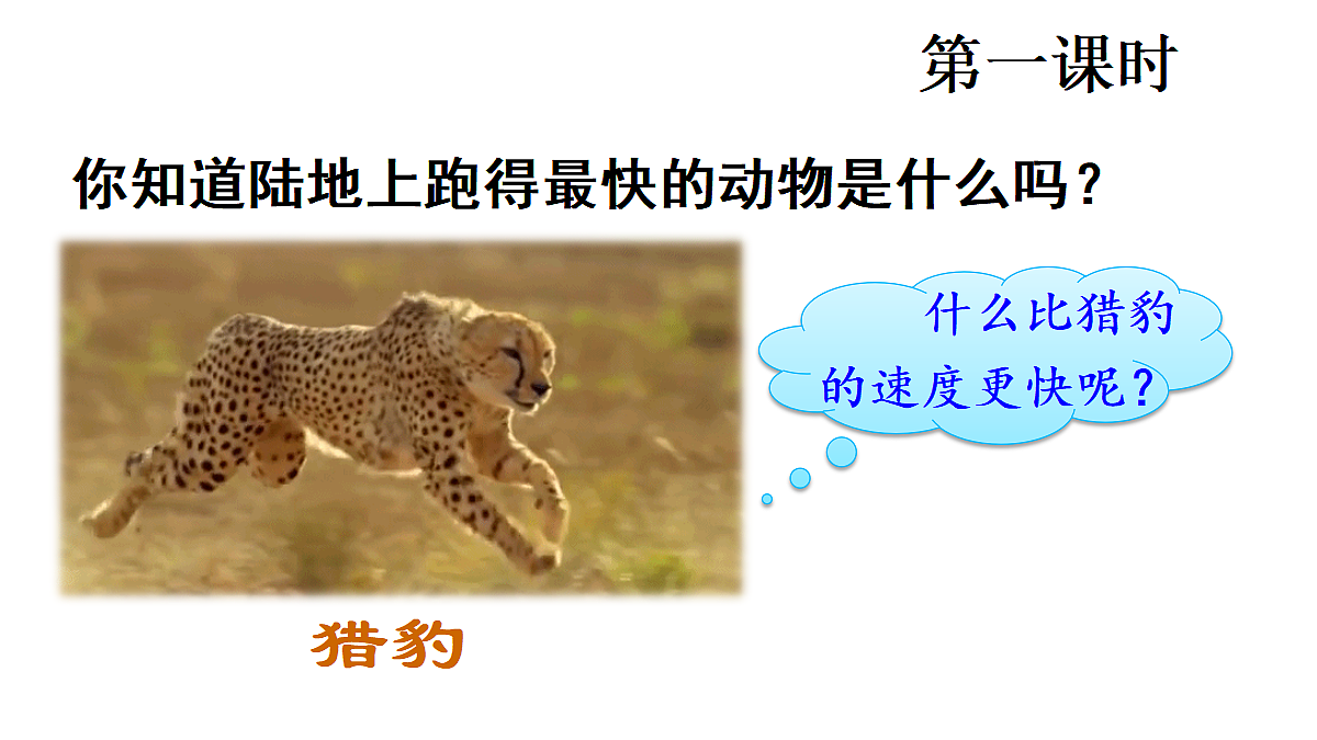 18565916第2页
