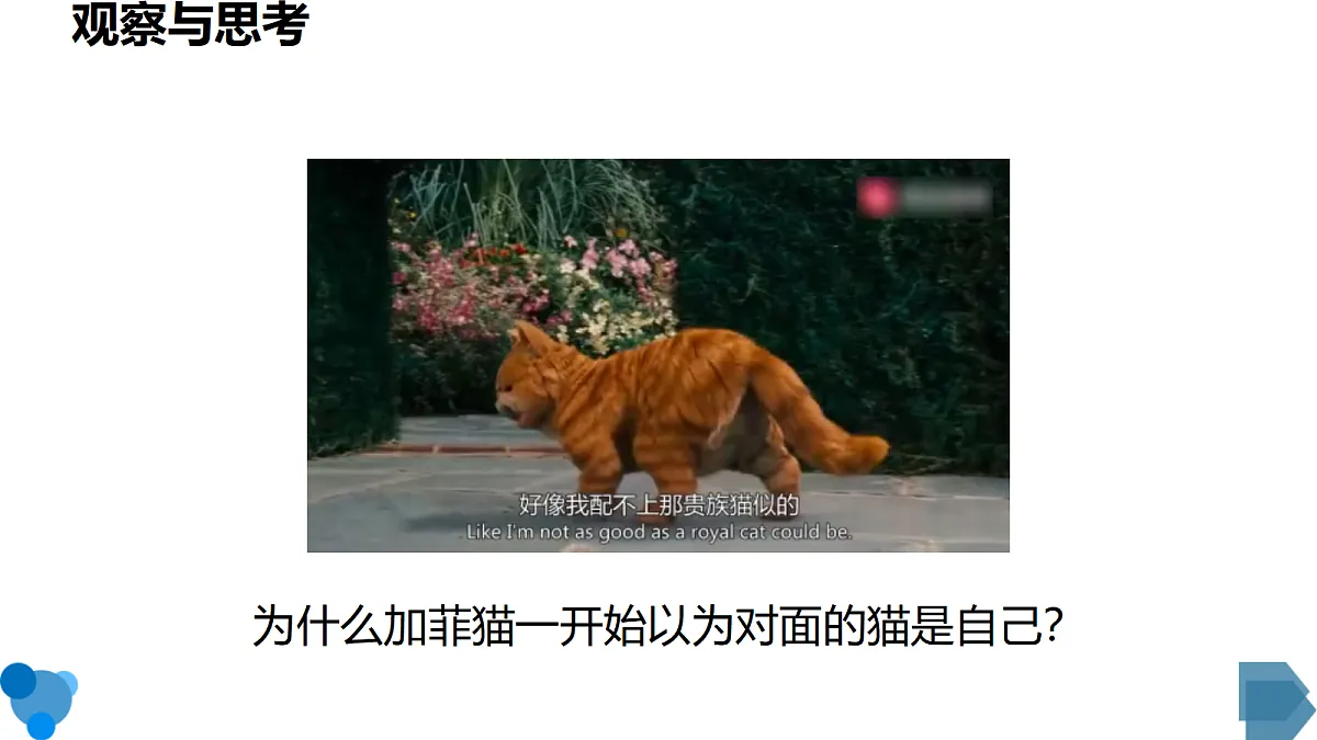18565991第2页