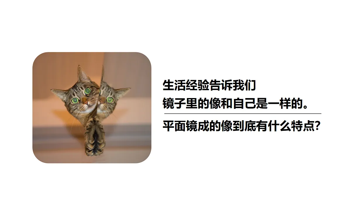 18565991第4页