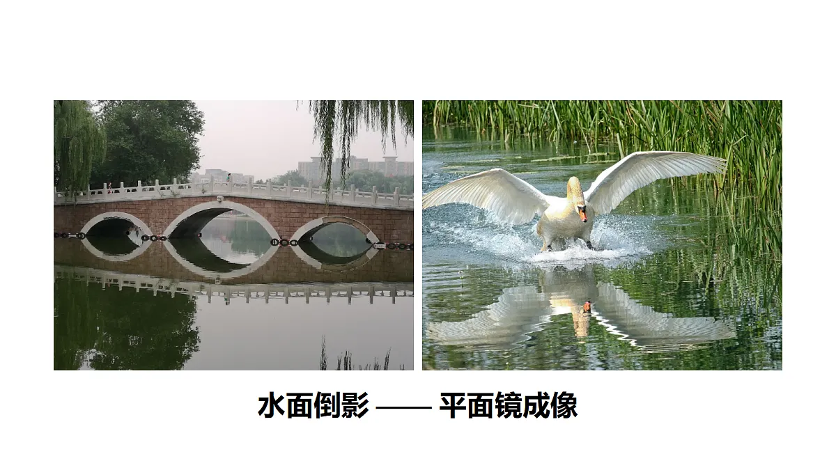 18565991第6页