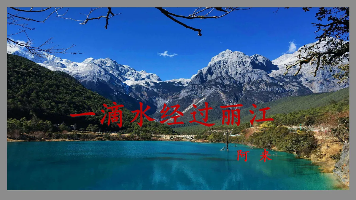 18566450第3页