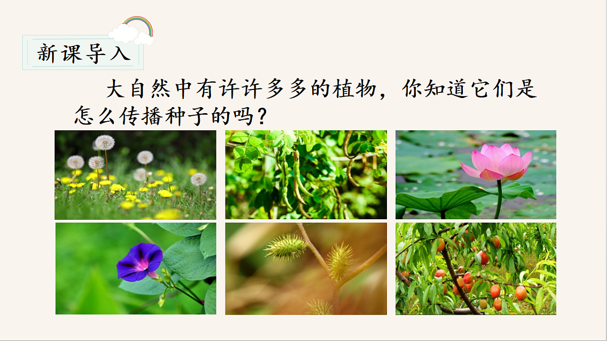 18568032第1页