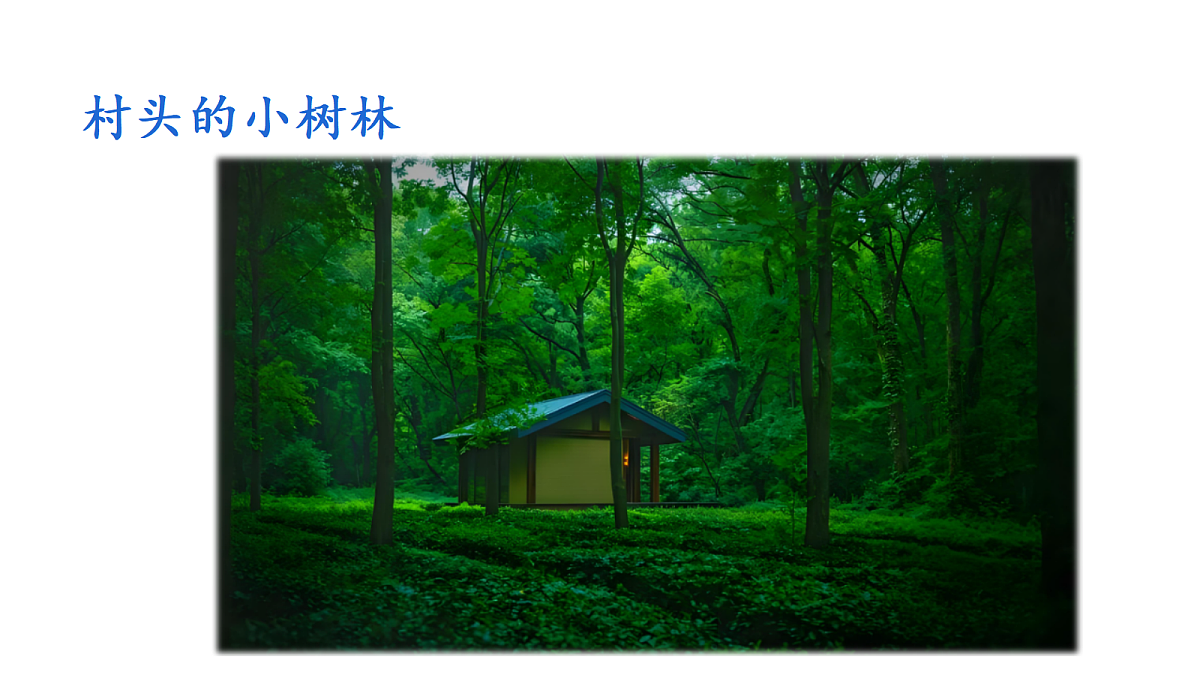 18569241第5页