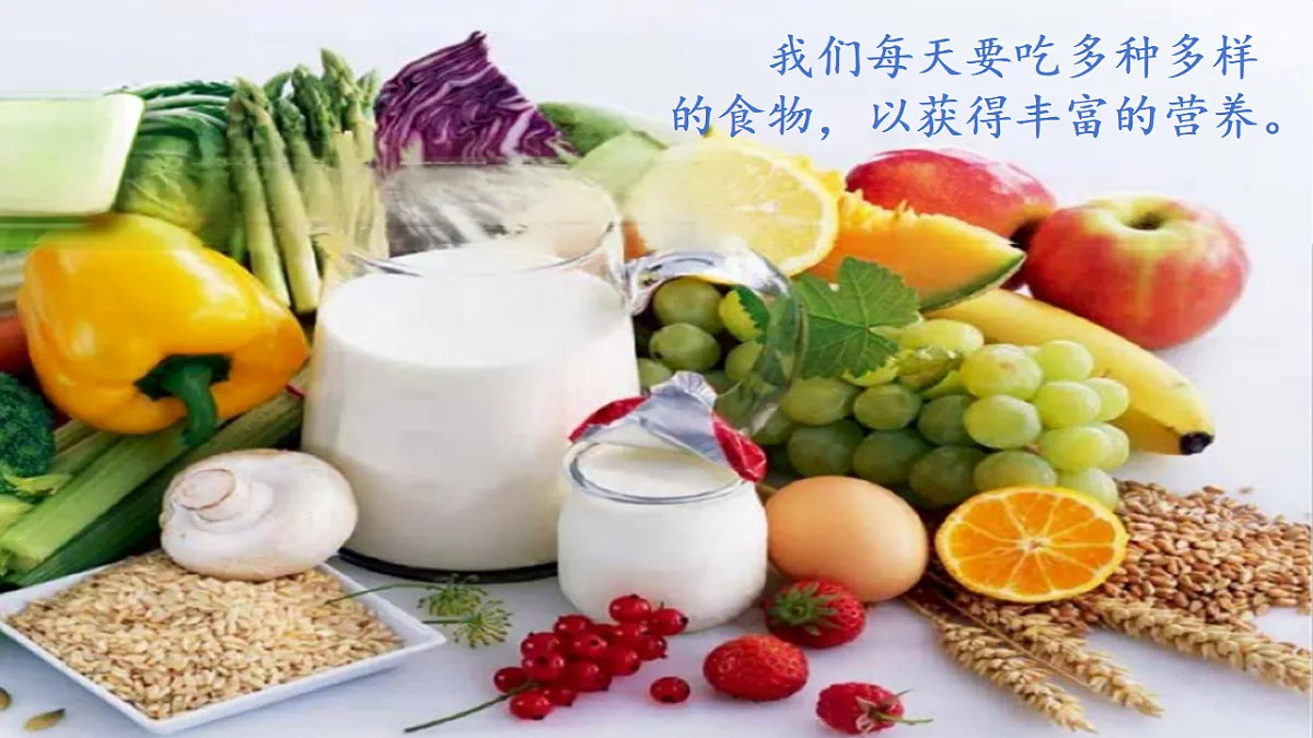 18569378第2页