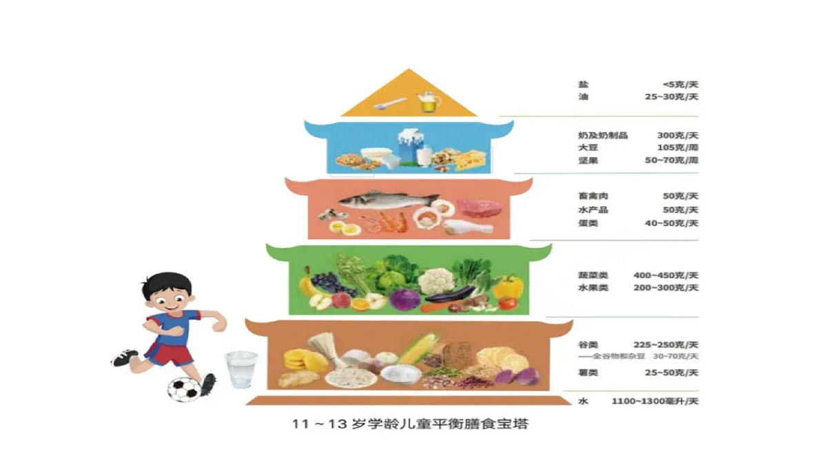 18569378第7页