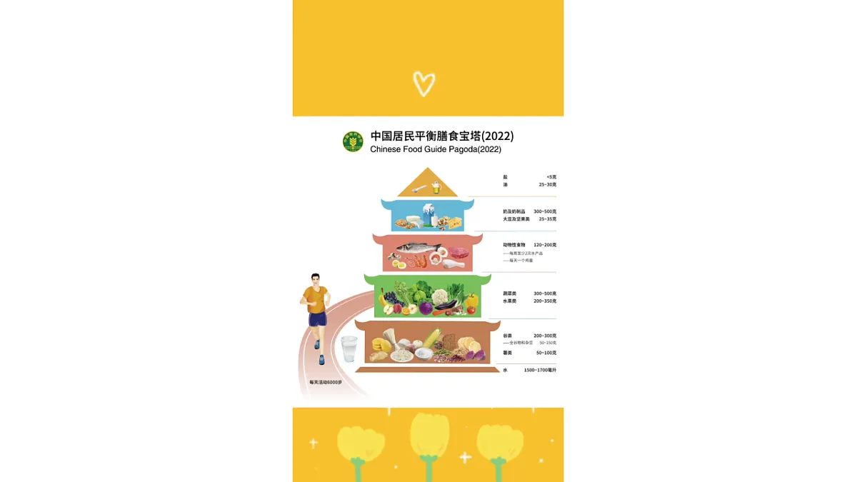 18569378第8页