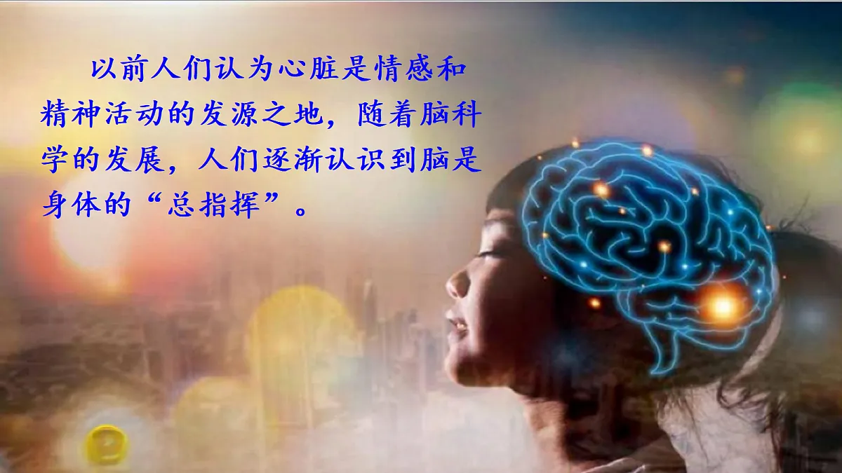 18569379第3页
