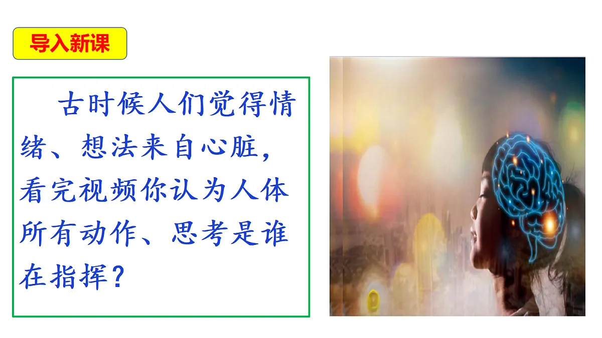 18569379第4页