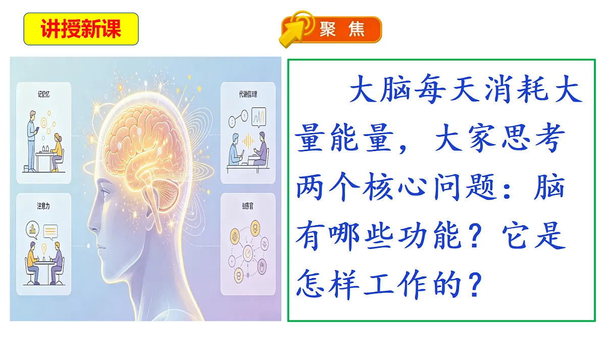 18569379第5页