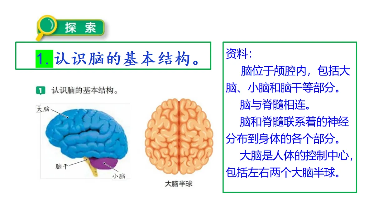 18569379第6页