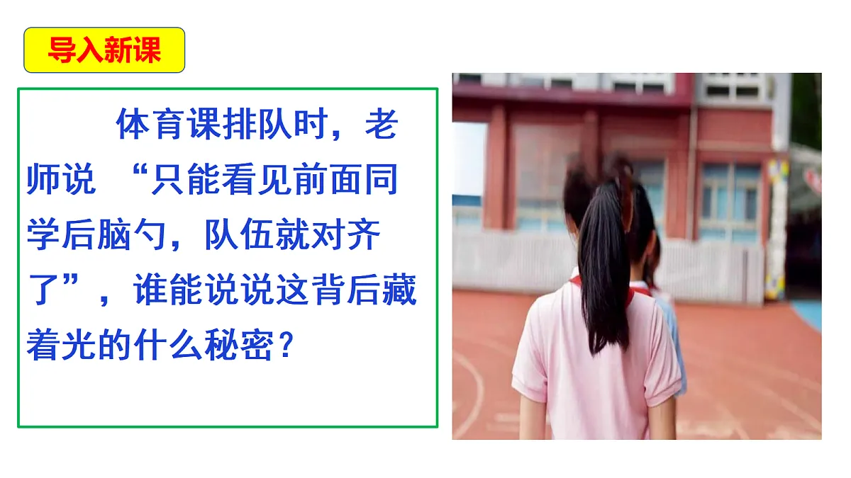 18569384第3页