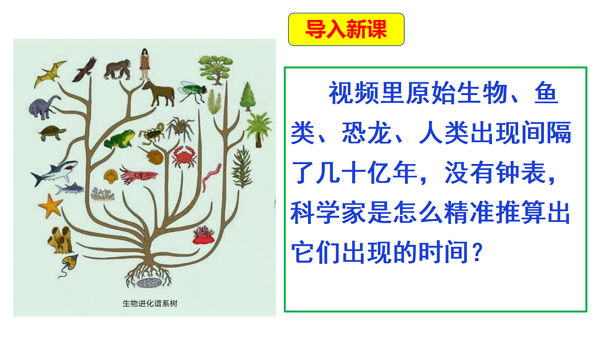 18569403第3页