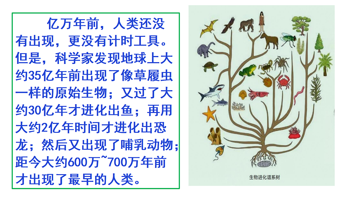 18569403第4页