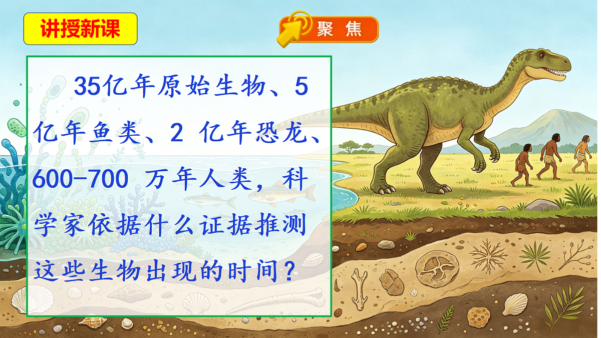18569403第5页