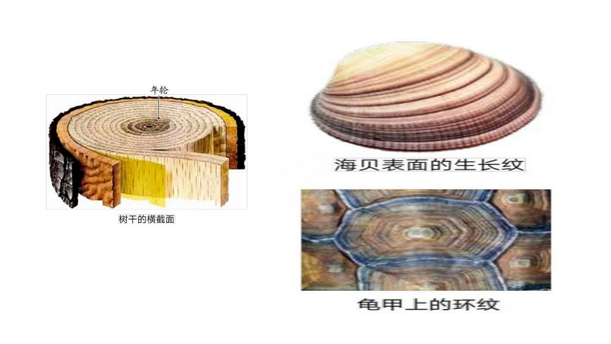 18569403第8页