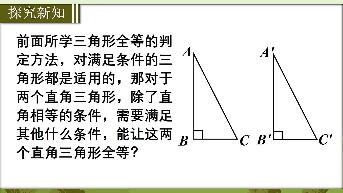 18569591第3页