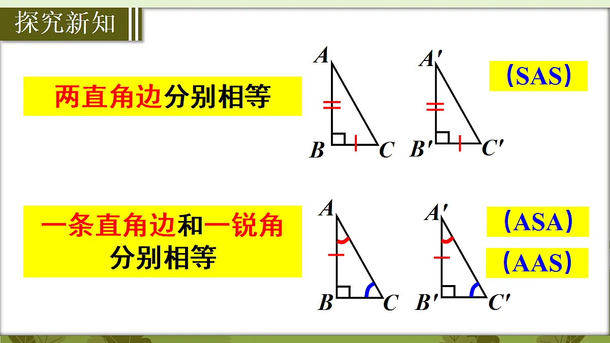 18569591第4页