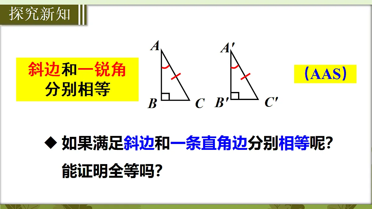 18569591第5页