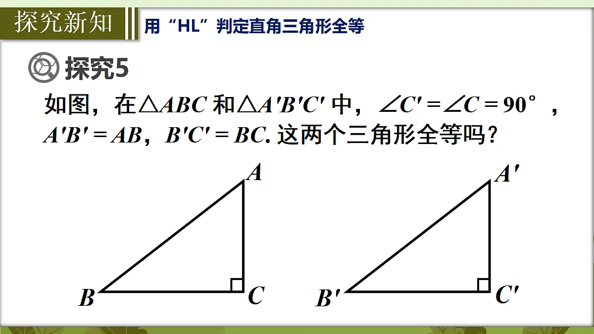 18569591第6页