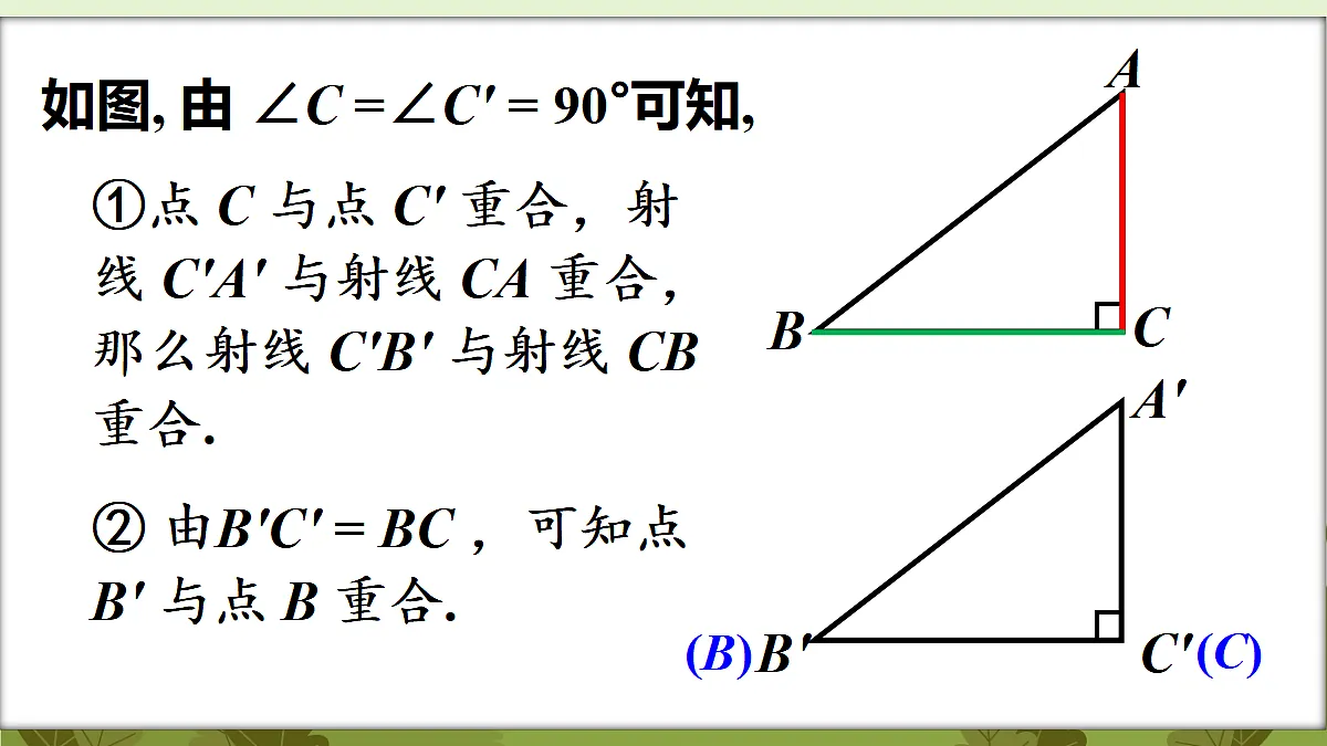 18569591第7页