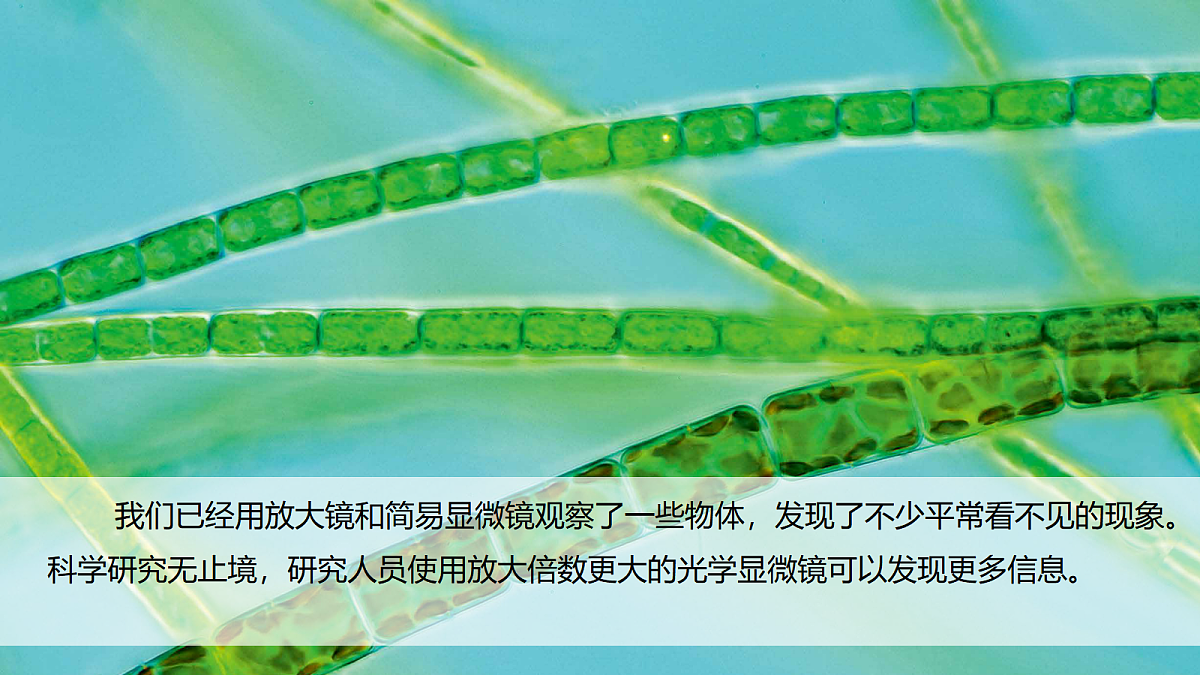 18570930第2页