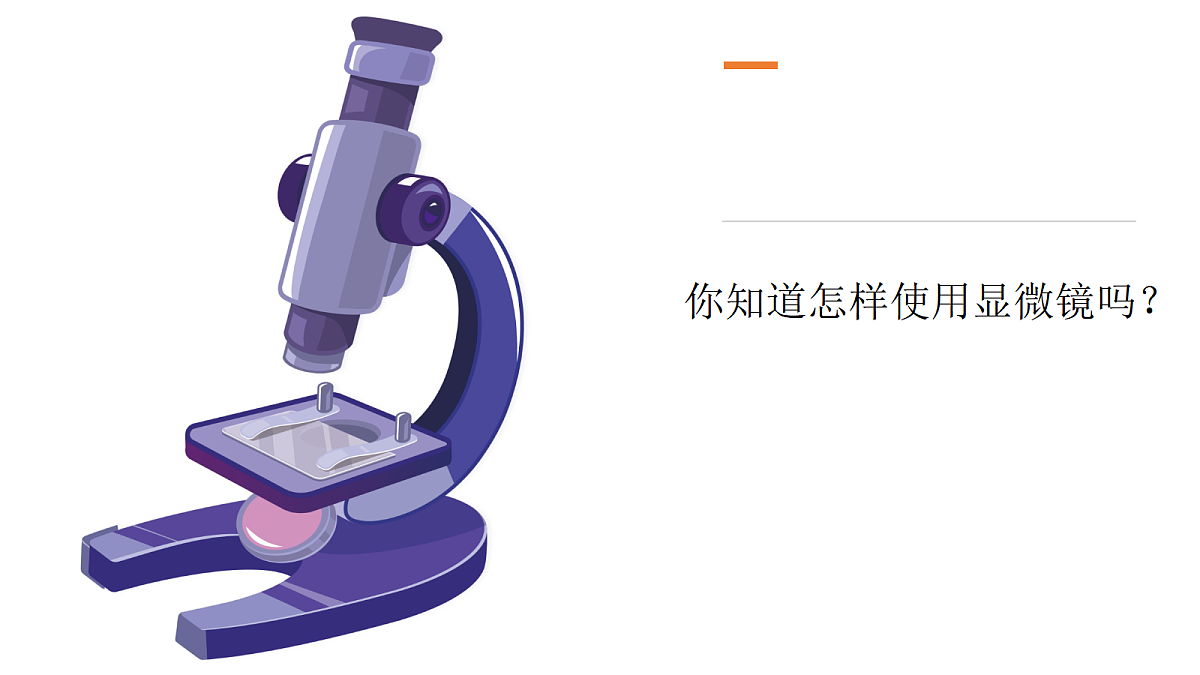 18570930第7页