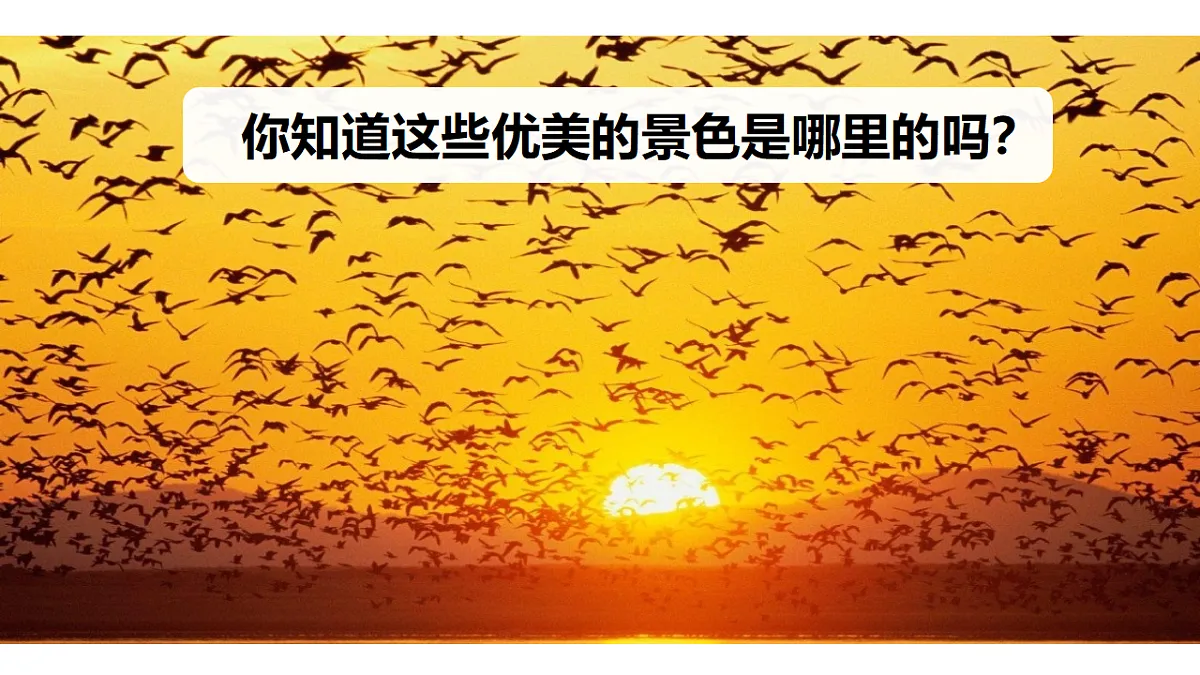 18571811第1页