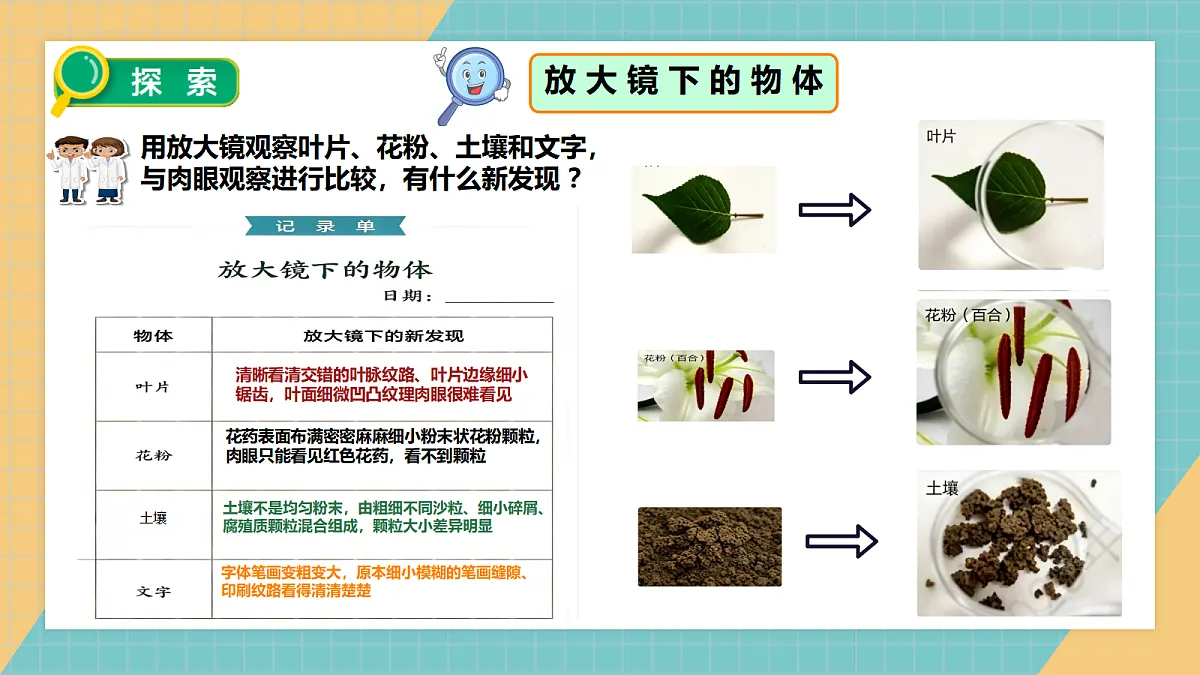 1.1《研究放大镜》教学课件第5页