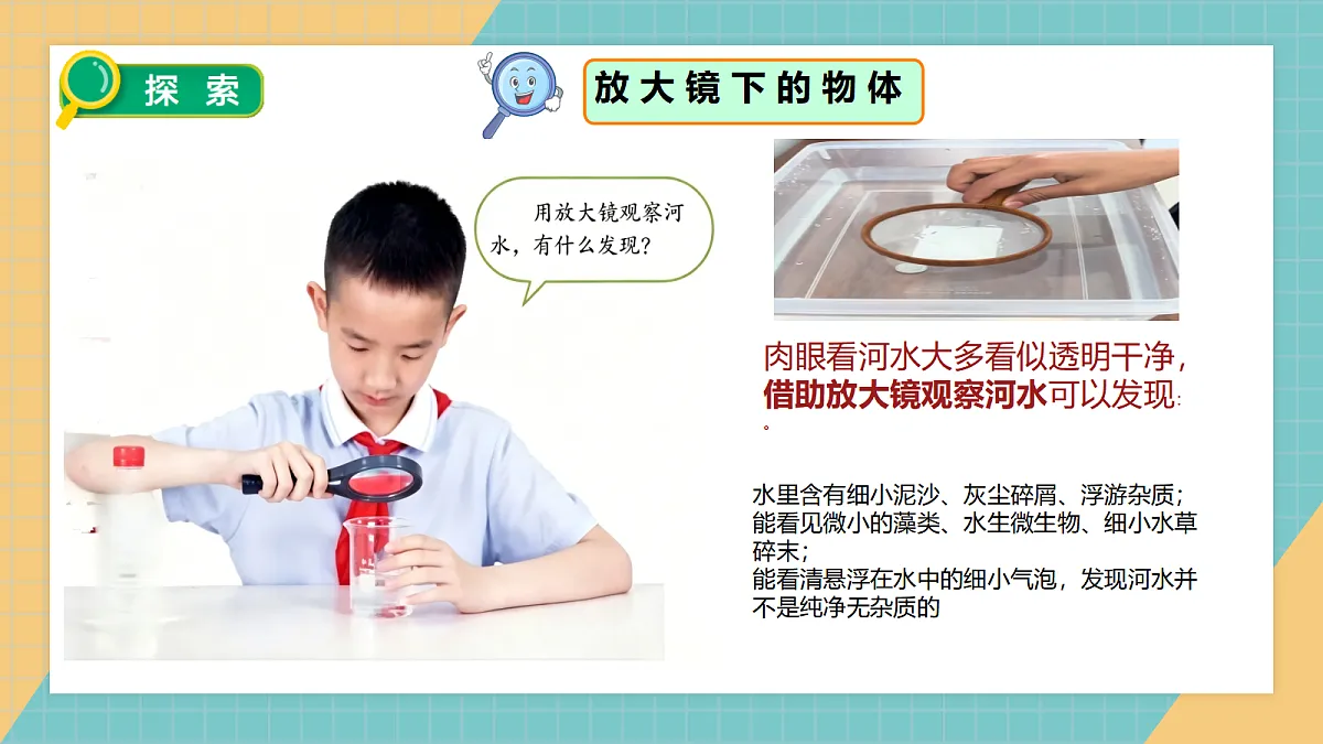 1.1《研究放大镜》教学课件第6页