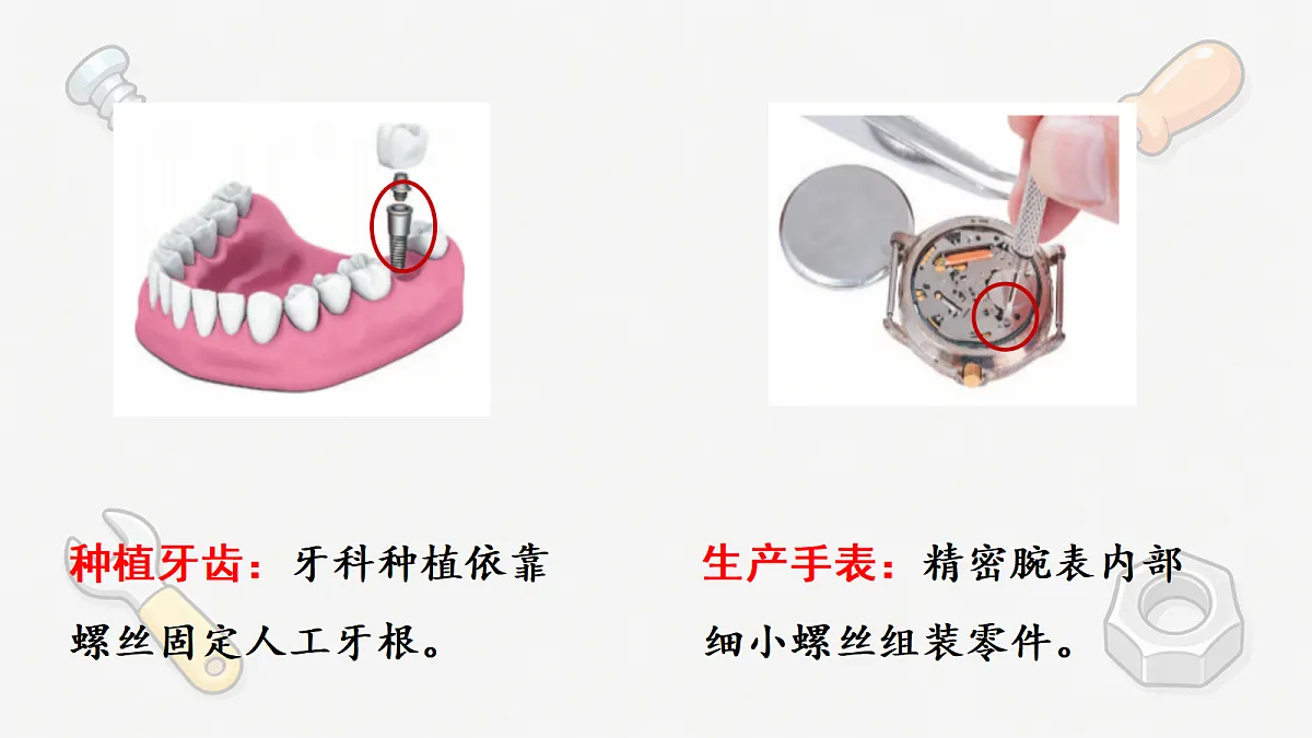 18575205第3页