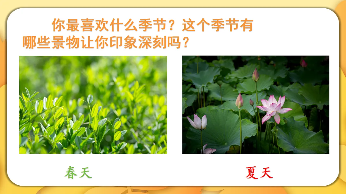 18576388第2页