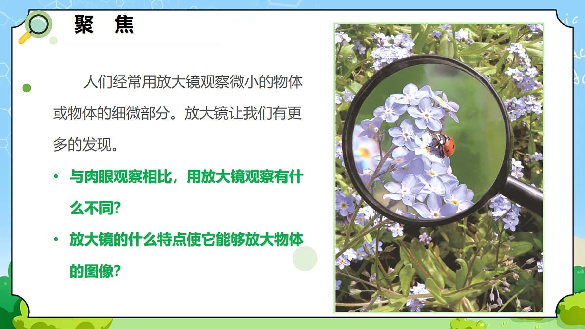 1.1 《研究放大镜》 - 小学科学五级上册 同步教学课件(教科版2024)第2页