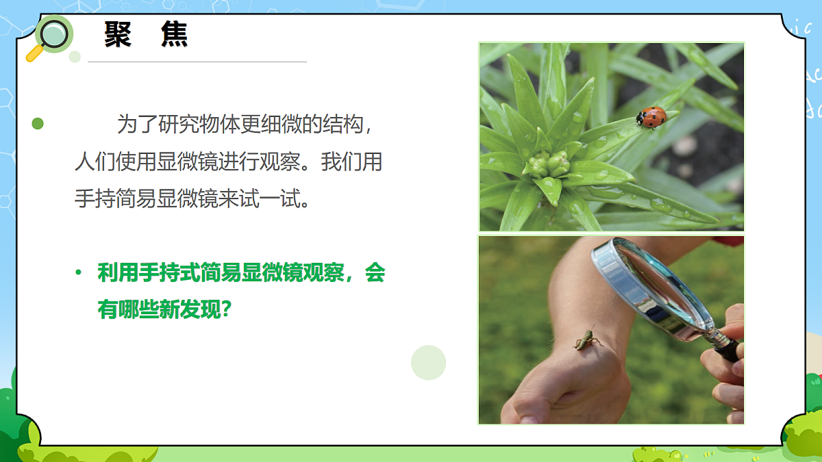 1.3 《用简易显微镜观察》 - 小学科学五级上册 同步教学课件(教科版2024)第2页