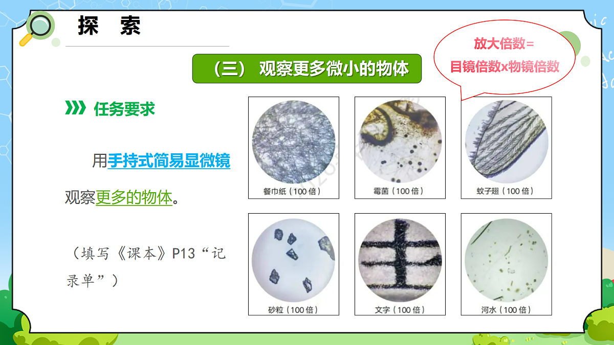 1.3 《用简易显微镜观察》 - 小学科学五级上册 同步教学课件(教科版2024)第7页