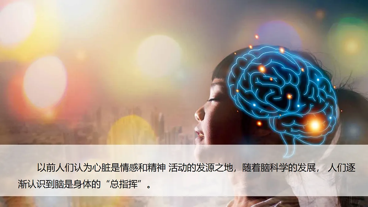 18578549第2页