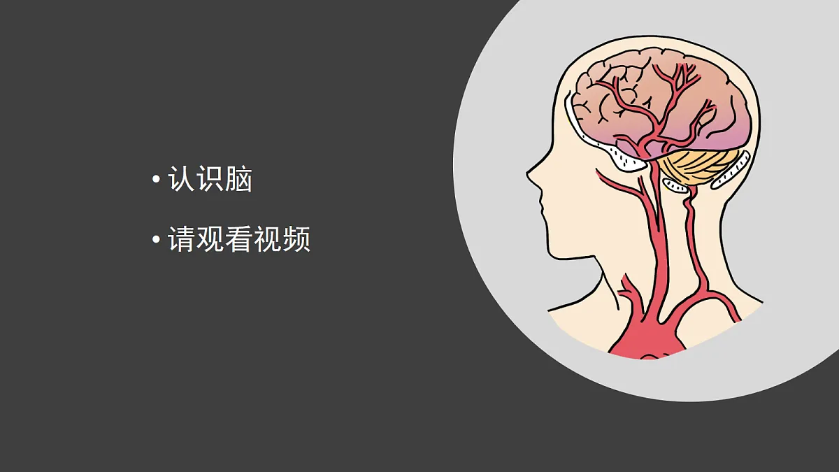 18578549第5页