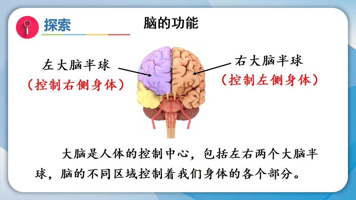 18578549第7页