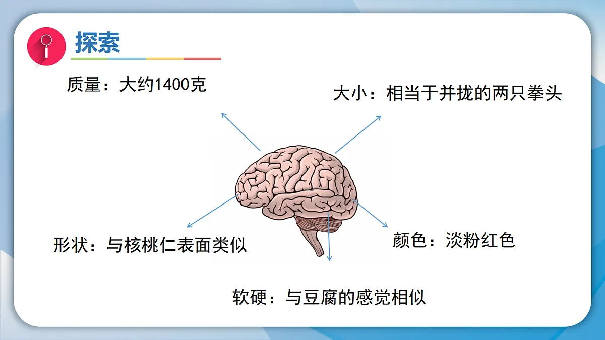 18578549第8页