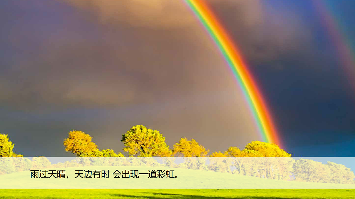 18578556第2页