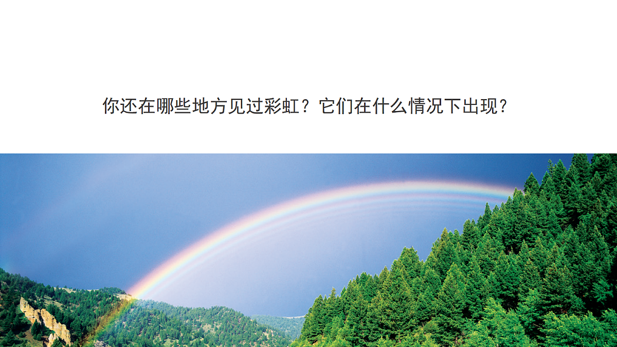 18578556第3页