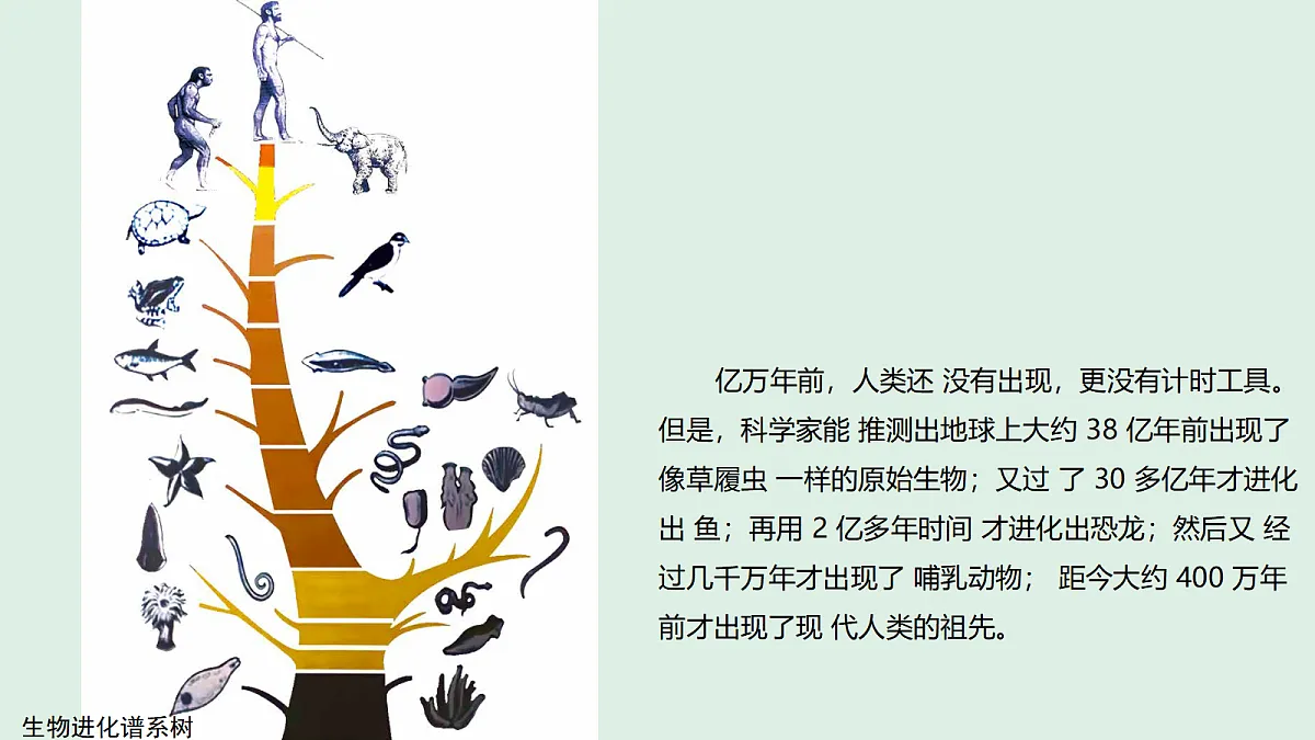 18578569第2页