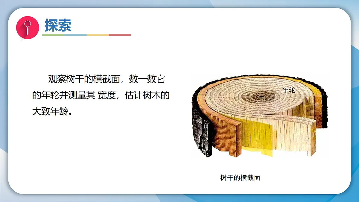 18578569第5页