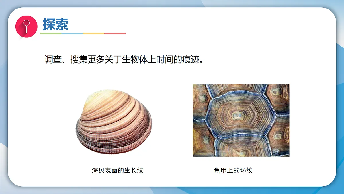 18578569第6页