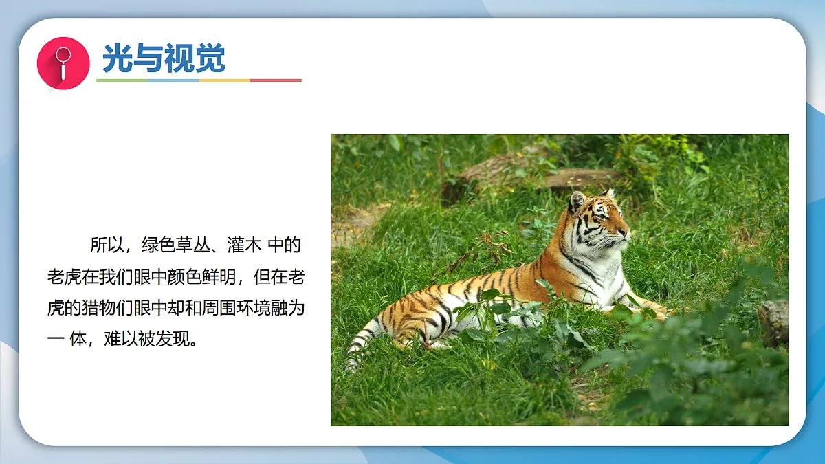 18578969第7页