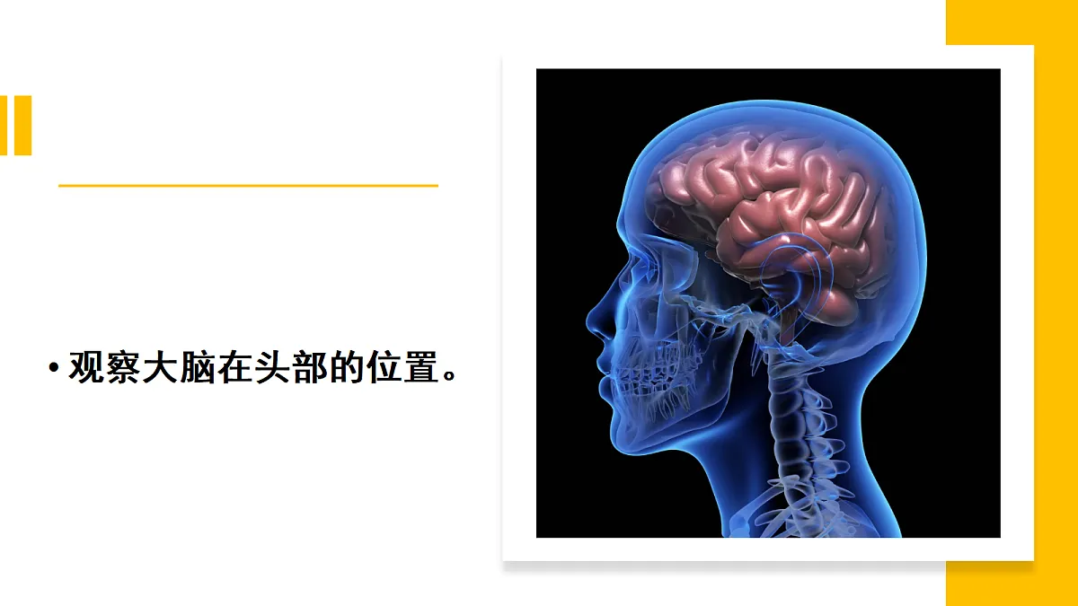 18578972第7页