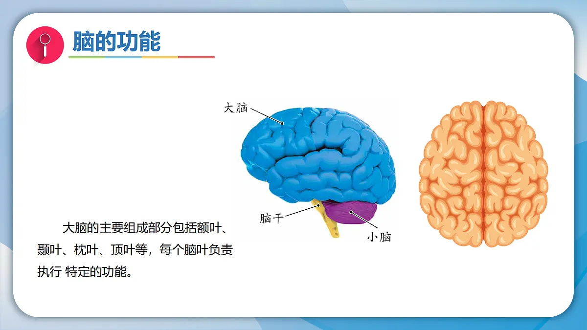 18578972第8页