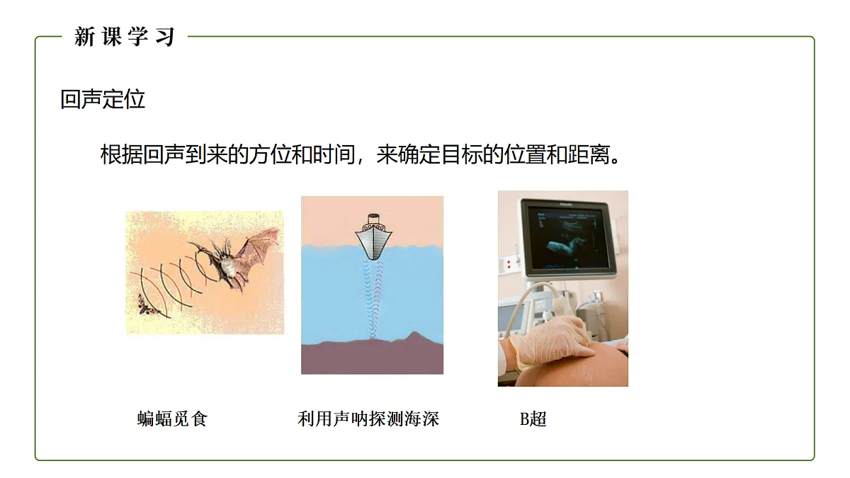 18582415第7页