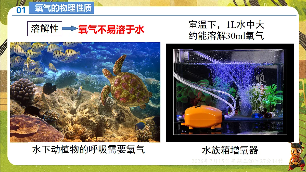 18583550第5页