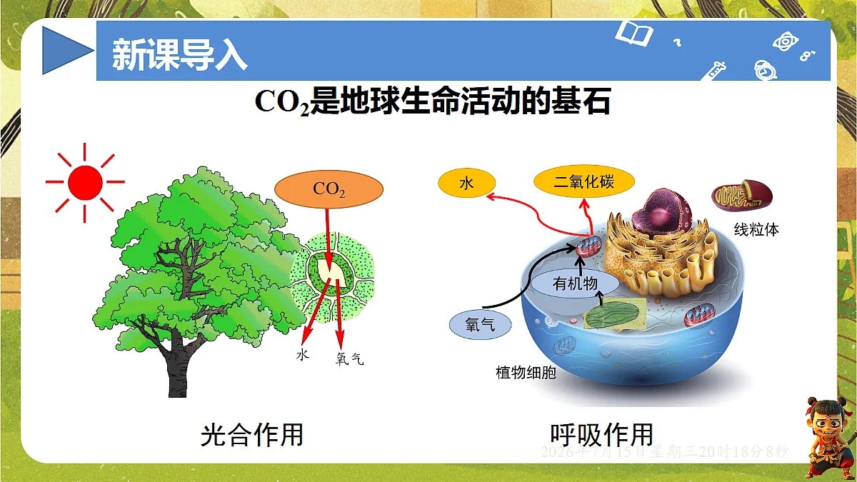 18583573第3页